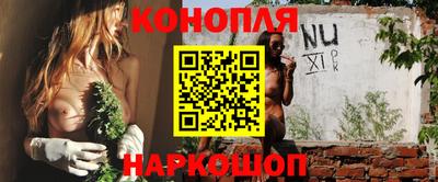 шишки Конаково