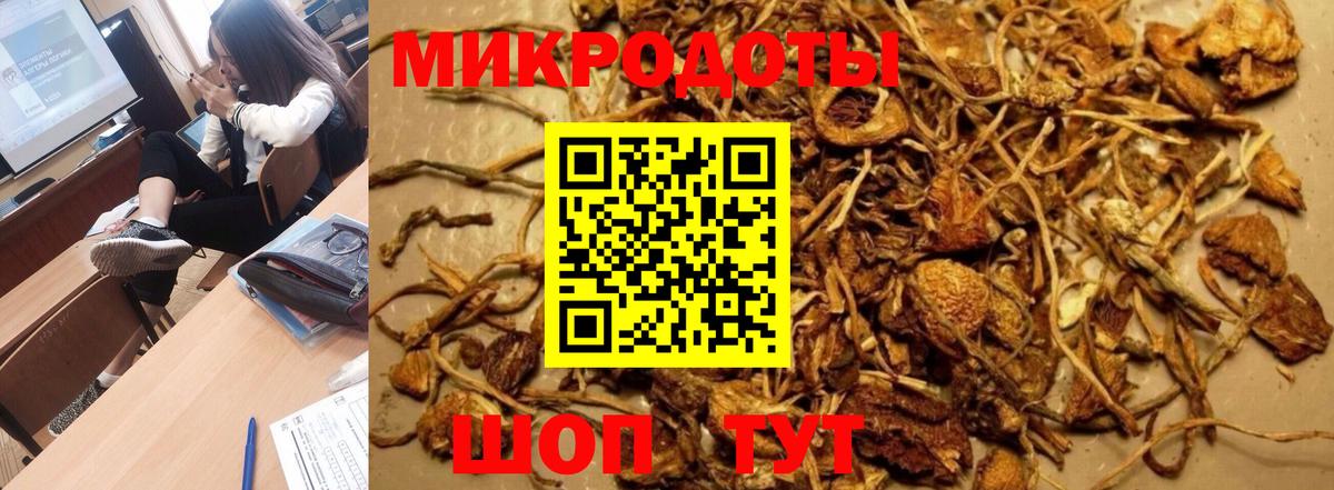 Псилоцибиновые грибы мицелий  Вход с VPN  Котлас  Галлюциногенные грибы Psilocybine cubensis 